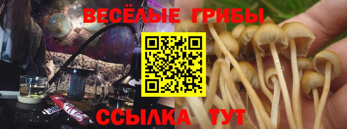 Урюпинск  наркота  Вход с VPN  Псилоцибиновые грибы мицелий  Псилоцибиновые грибы Psilocybe 